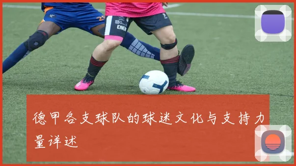 德甲各支球队的球迷文化与支持力量详述