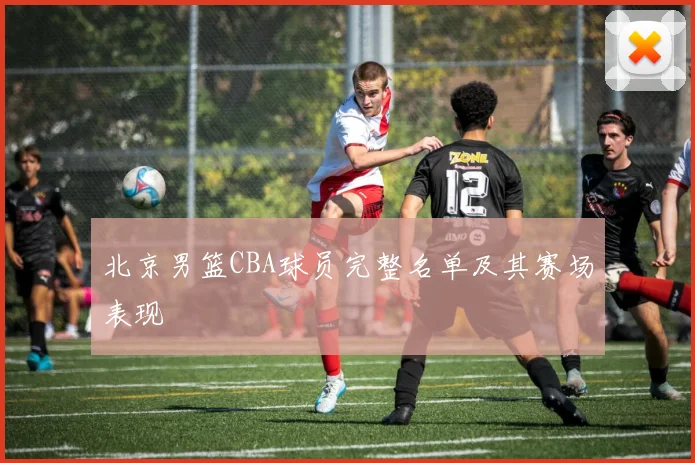 北京男篮CBA球员完整名单及其赛场表现