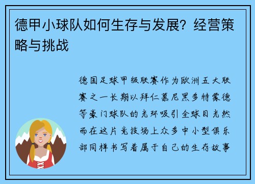 德甲小球队如何生存与发展？经营策略与挑战